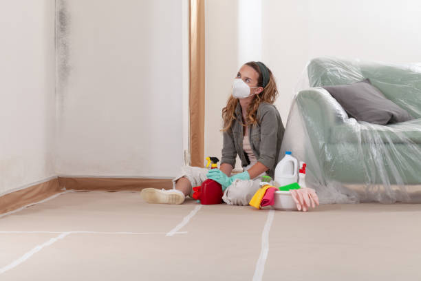 Reliable Commercial Mold Remediation contractor in Edmonds, WA by Car Mold Remediation